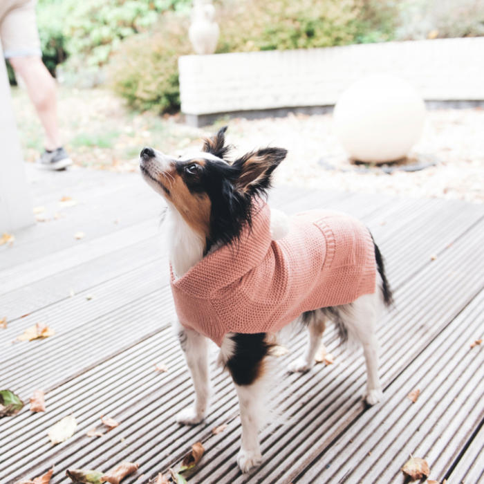 Hunter Pullover con cappuccio Rogla Rosa - immagine 3