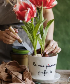 Simple Day Vaso Con Sottovaso La Mia Piantina Preferita
